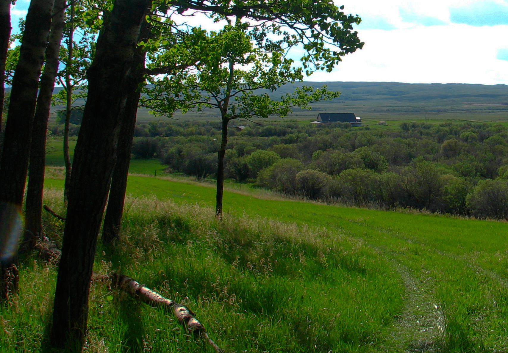 View from the hill.